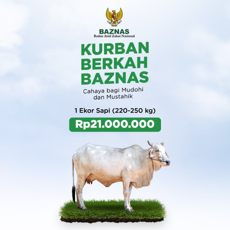 Kurban BAZNAS 1446 H