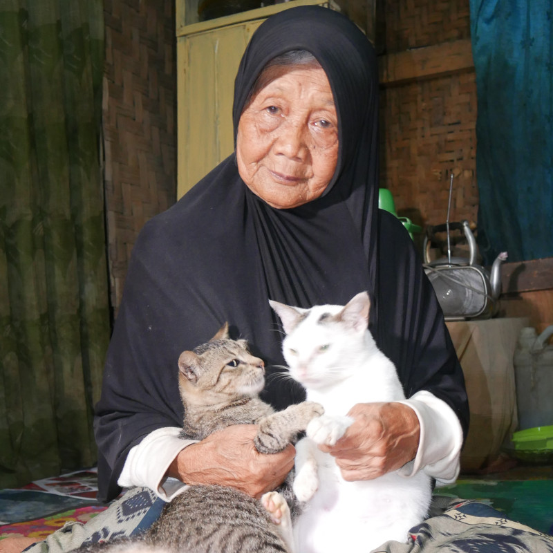BANTU! LANSIA PENYAYANG KUCING YANG HIDUP SEBATANG KARA