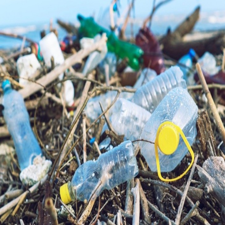 Pahlawan Lingkungan: Selamatkan Bumi dari Sampah Plastik!