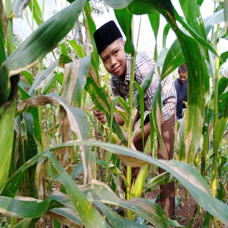 Bantu Anak Yatim dan Anak Tidak Mampu