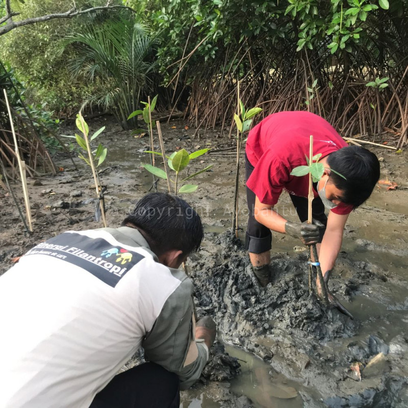 Pelestarian Ekoseistem Mangrove