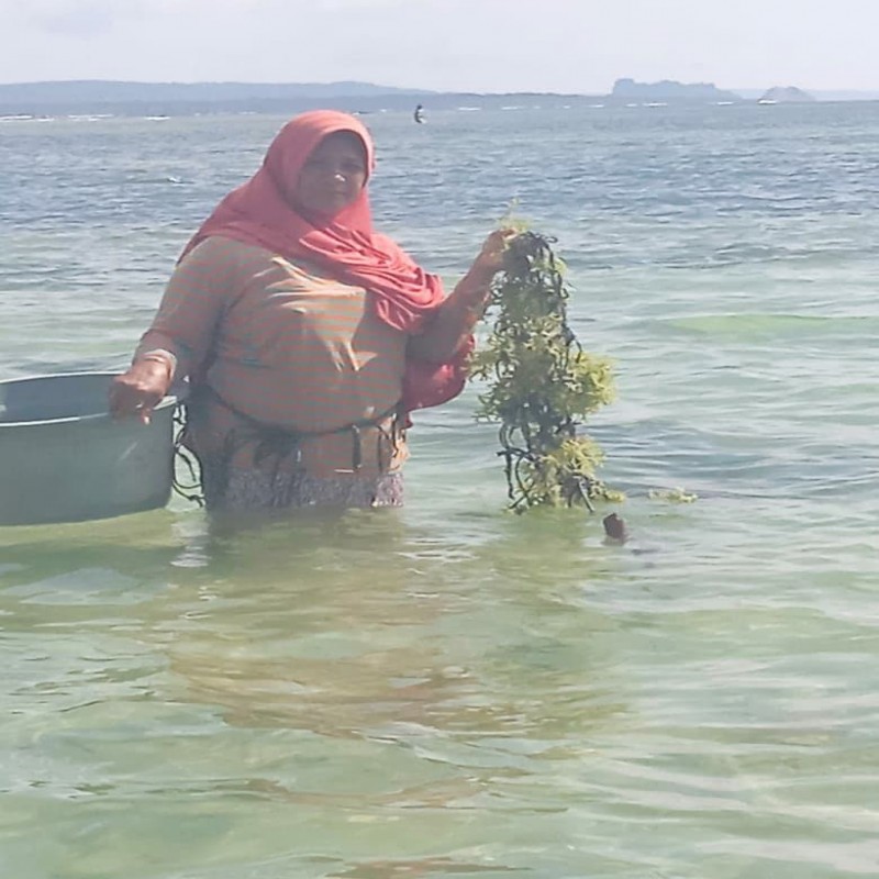 BANTU NELAYAN ALOR BERTAHAN PASCA BENCANA