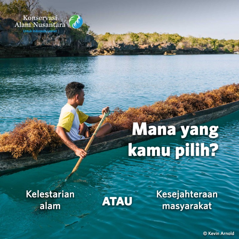 Jaga Laut dengan Budi Daya Rumput Laut