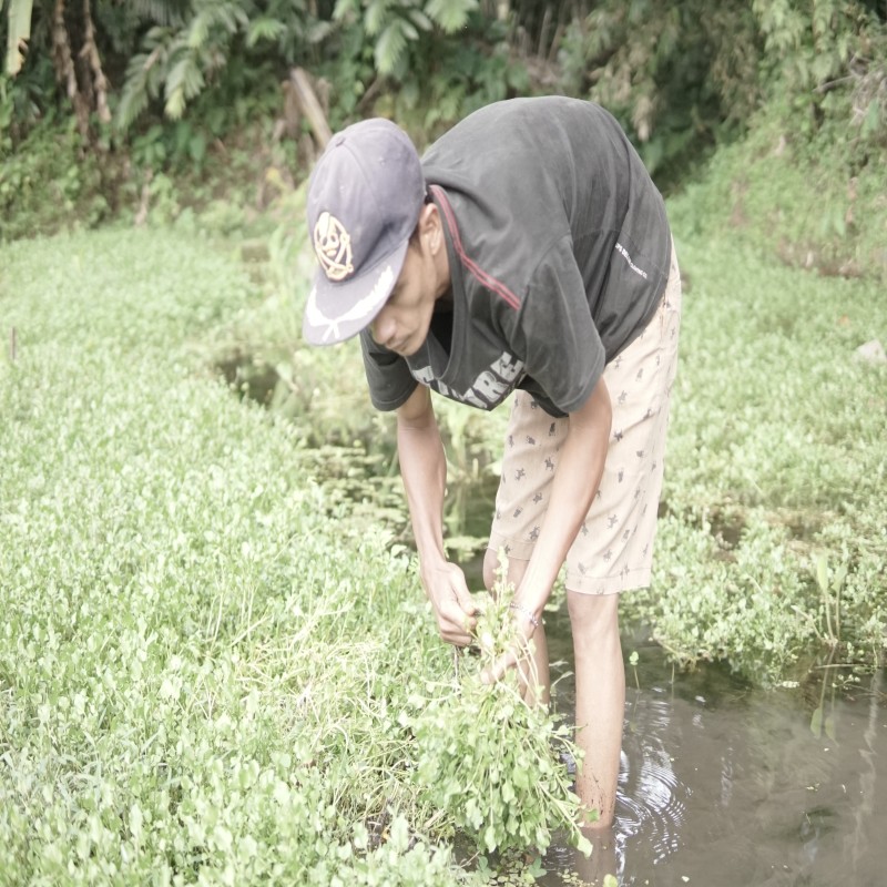 Ayo Bantu De Lani Sembuh, De Lani Mengidap Bocor Jantung