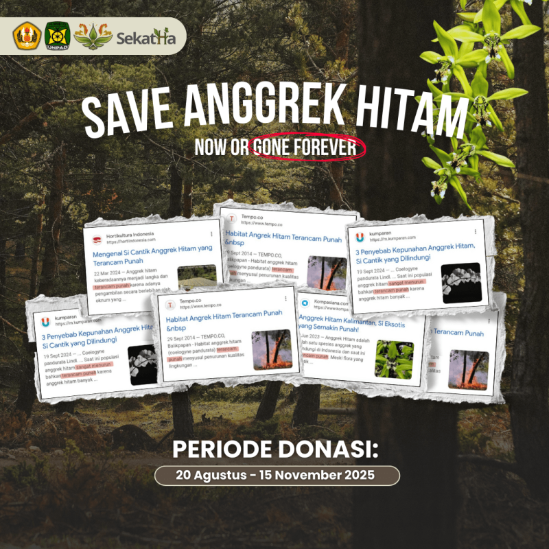 Save Anggrek Hitam