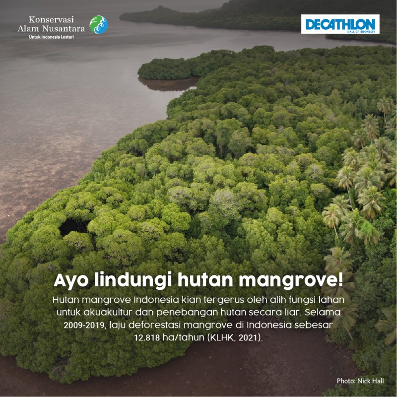 Run for Planet: Dukung 4000 Orang Berlari untuk Mangrove bersama YKAN dan Decathlon - Cecep