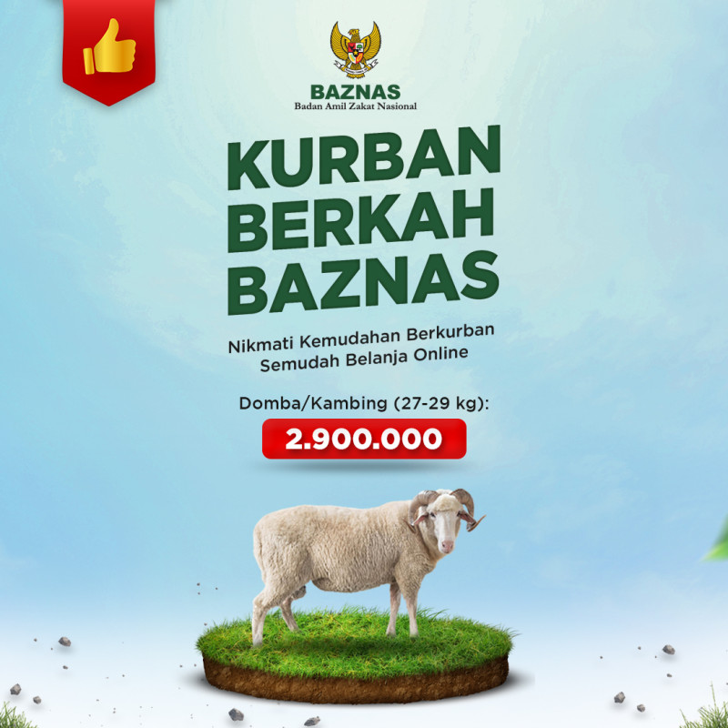 Kurban BAZNAS Kambing Premium