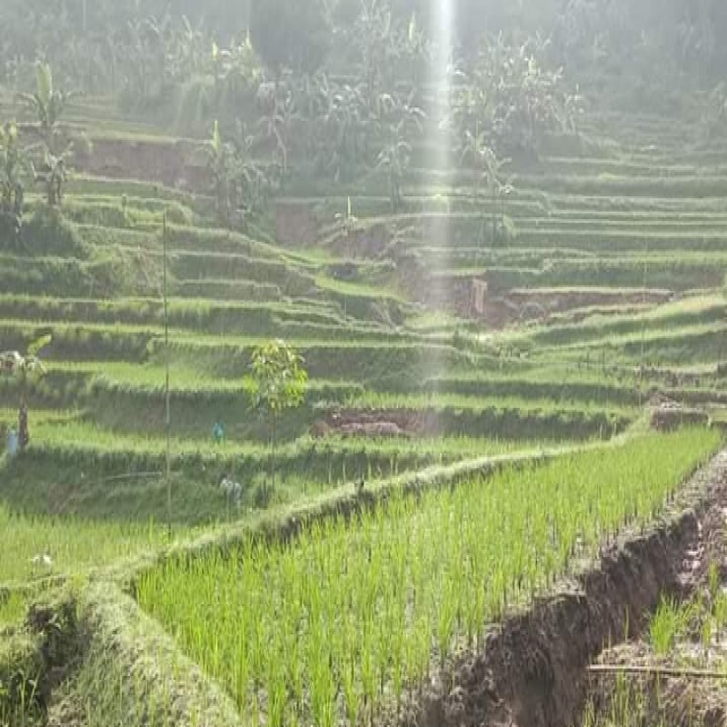 Bantu Korban Pergerakan Tanah Sukabumi
