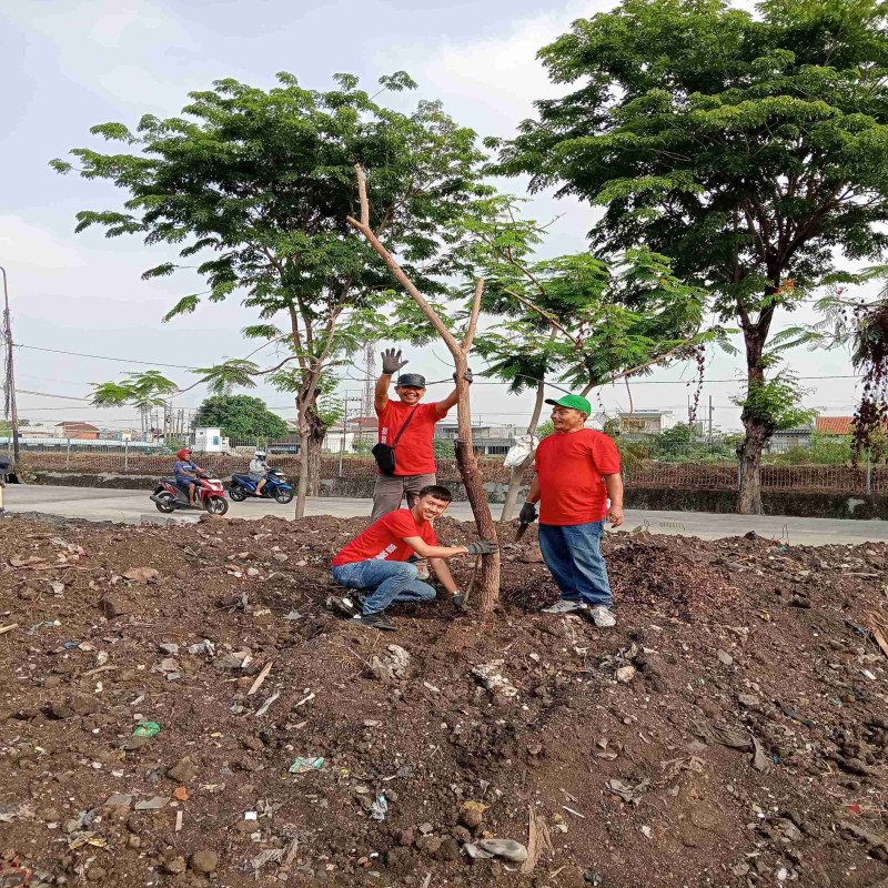 Gerakan Tanam Pohon Trembesi Untuk Iklim Lebih Baik