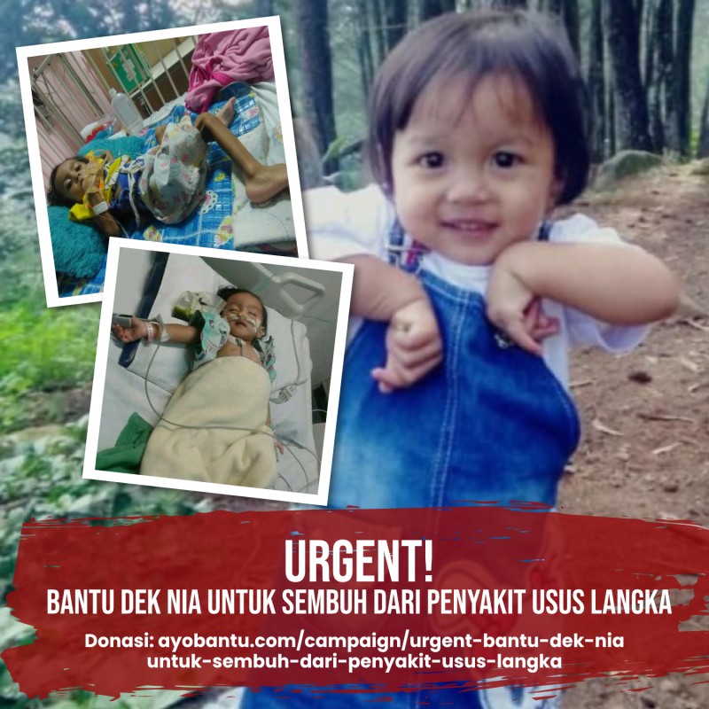 Urgent! Bantu Dek Nia Untuk Sembuh Dari Penyakit Usus Langka