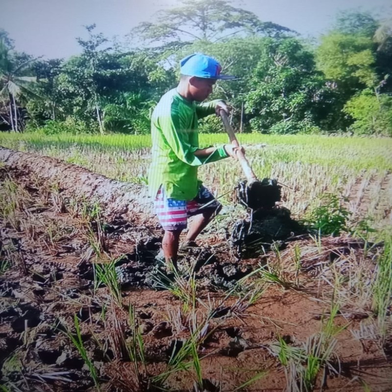 BANTU ZULFIKAR KANKER MATA