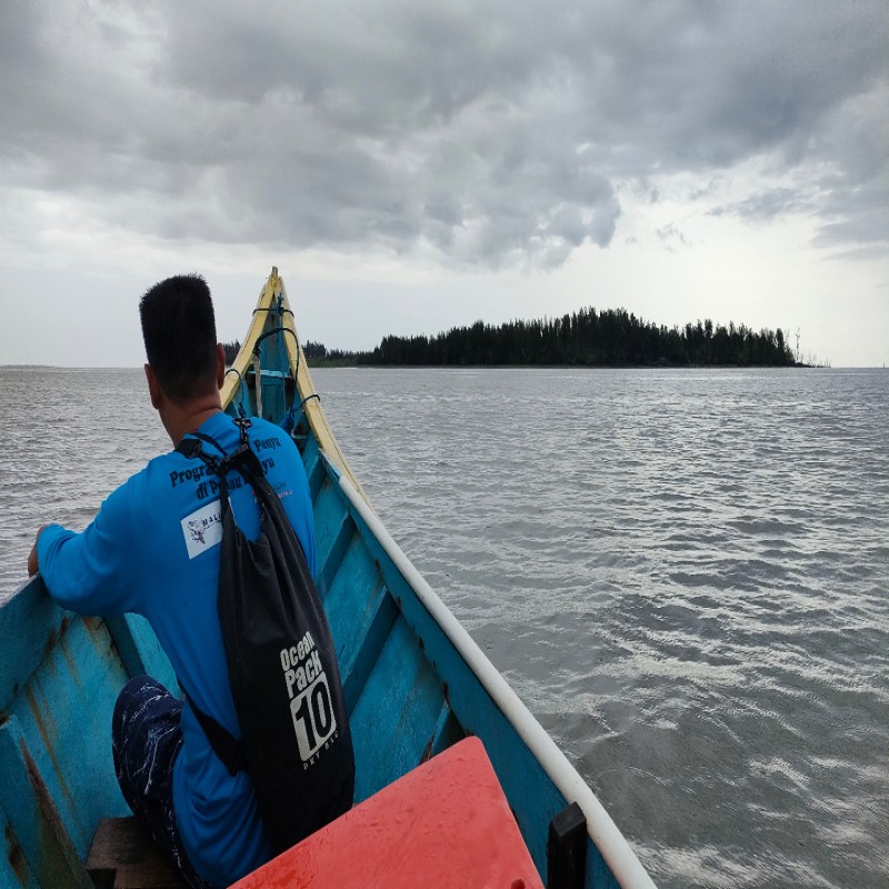 Penyu Punah, Ekosistem Laut Mati