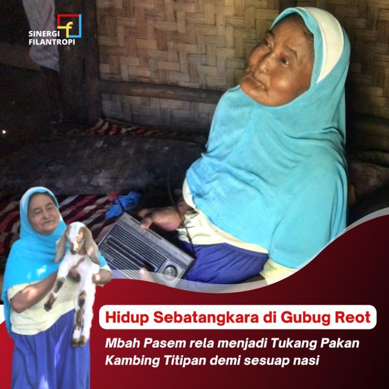 Demi Menyambung Hidup Nenek Renta Mencari Rumput