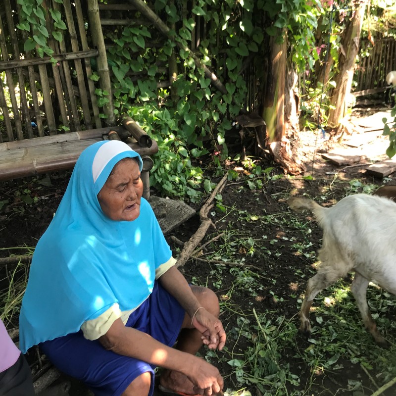 Demi Menyambung Hidup Nenek Renta Mencari Rumput