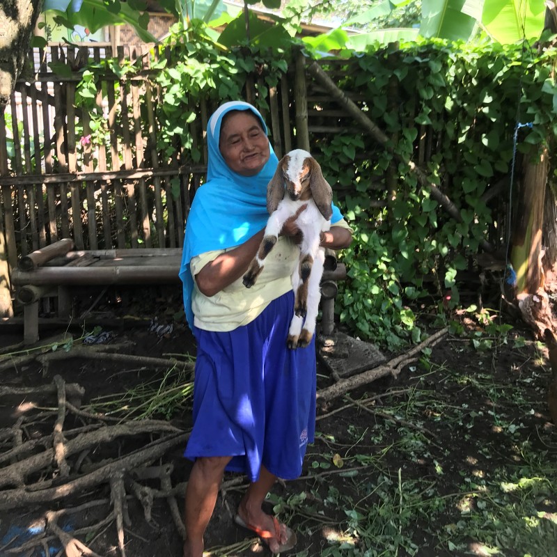 Demi Menyambung Hidup Nenek Renta Mencari Rumput