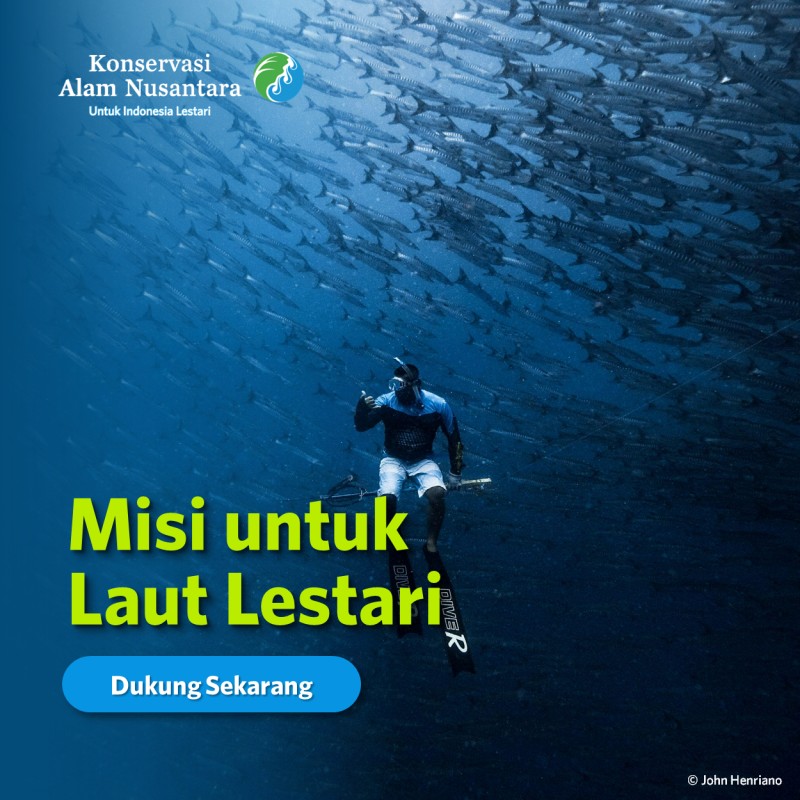 Misi untuk Laut Lestari - Agung Herdianto