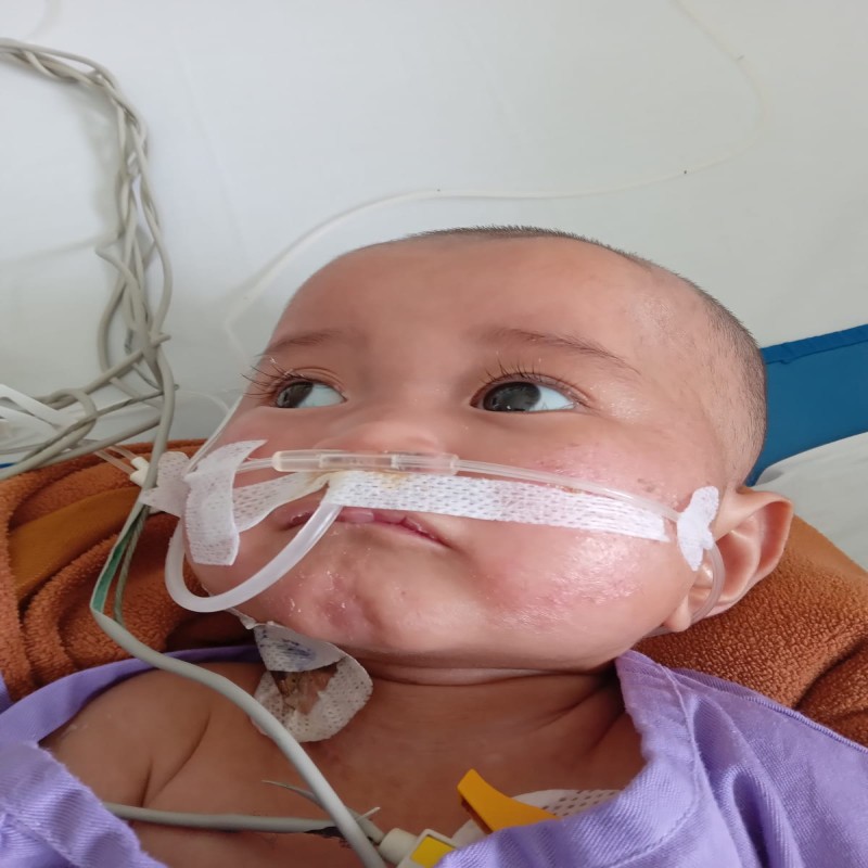 Bantu Kayki Sembuh Dari Berbagai Sakitnya