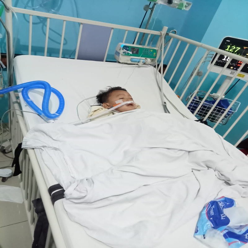 Bantu Selamatkan Genzo dari Gagal Ginjal