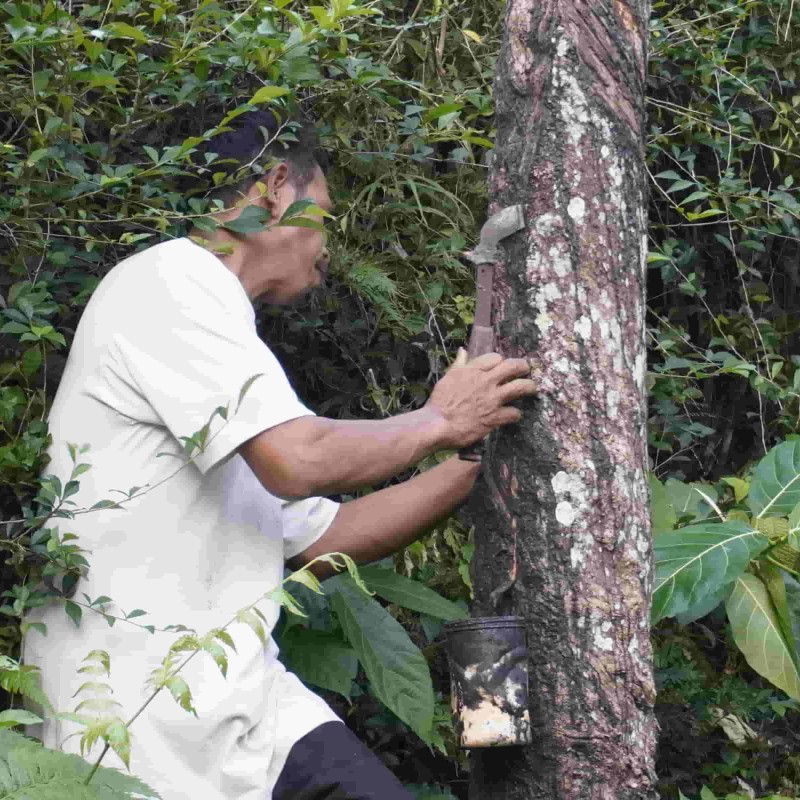 Anak Buruh Karet Menderita Kelainan Kolostomi, Ayo Bantu Pengobatanya