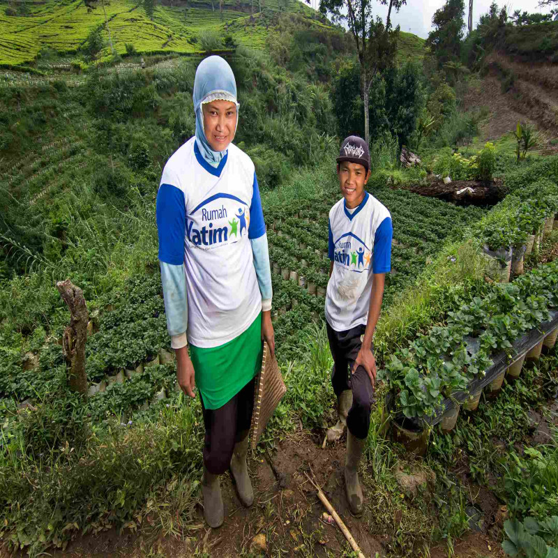 Sedekah Pohon Tanam Sekali Tuai Pahala Seterusnya