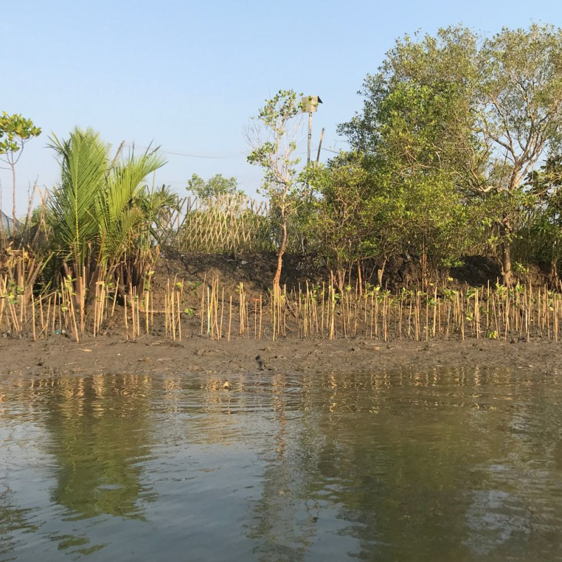 Pelestarian Ekoseistem Mangrove