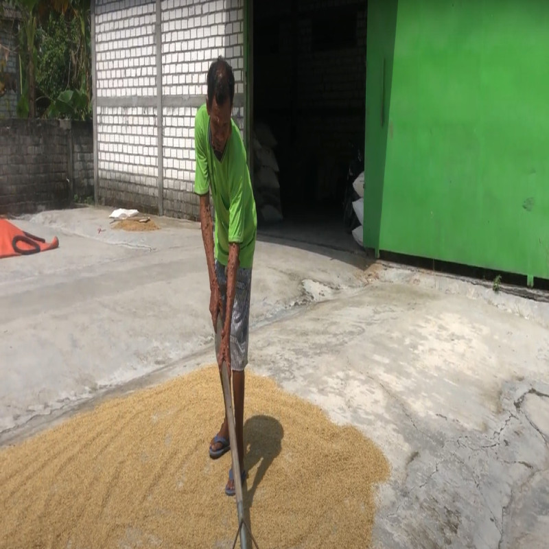 Bantu Buruh Serabutan, Benjolan di Seluruh Tubuh