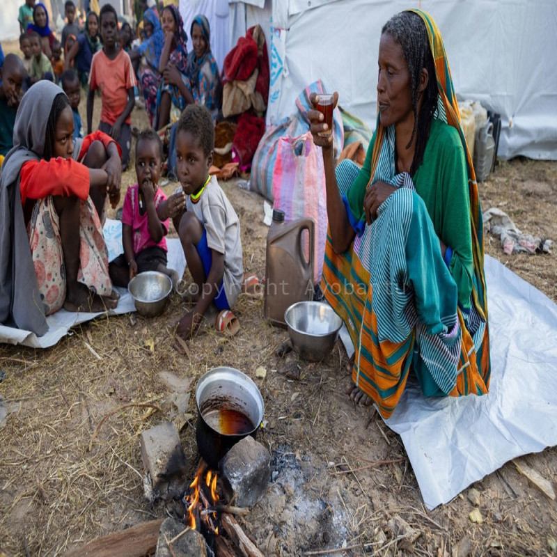 Pangan untuk Sudan Bantu Mereka Bertahan