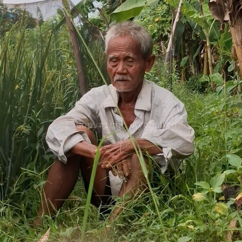 Tubuh Semakin Lemah! Bantu Lansia Sebatangkara Menyambung Hidup