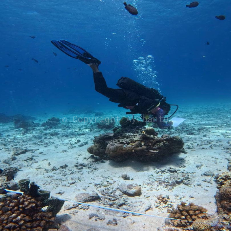 Bantu Selvi, Putri Flores Penjaga Terumbu Karang