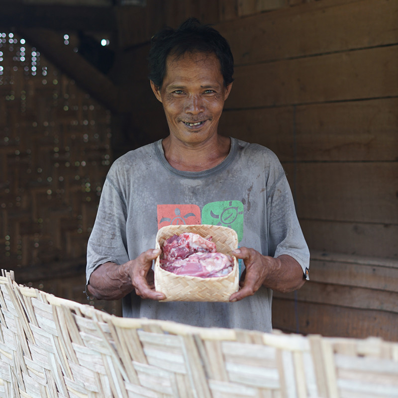 Qurban / Kurban Domba Kambing Sapi - Dompet Dhuafa