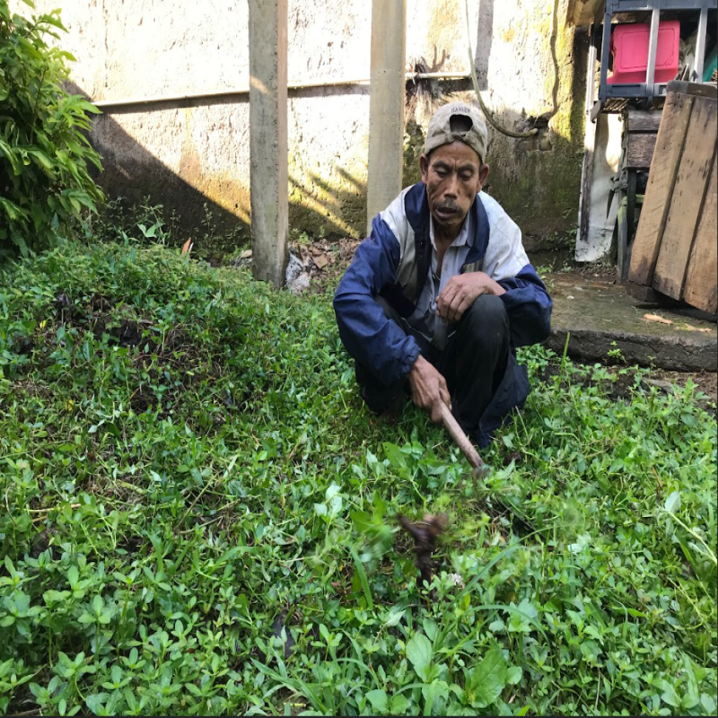 Tinggal di Tengah Hutan dengan Menahan Perut Lapar Seorang Diri