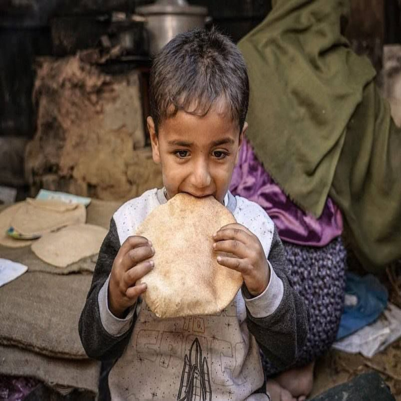 Sedekah Roti Bantu Gaza di Pengungsian