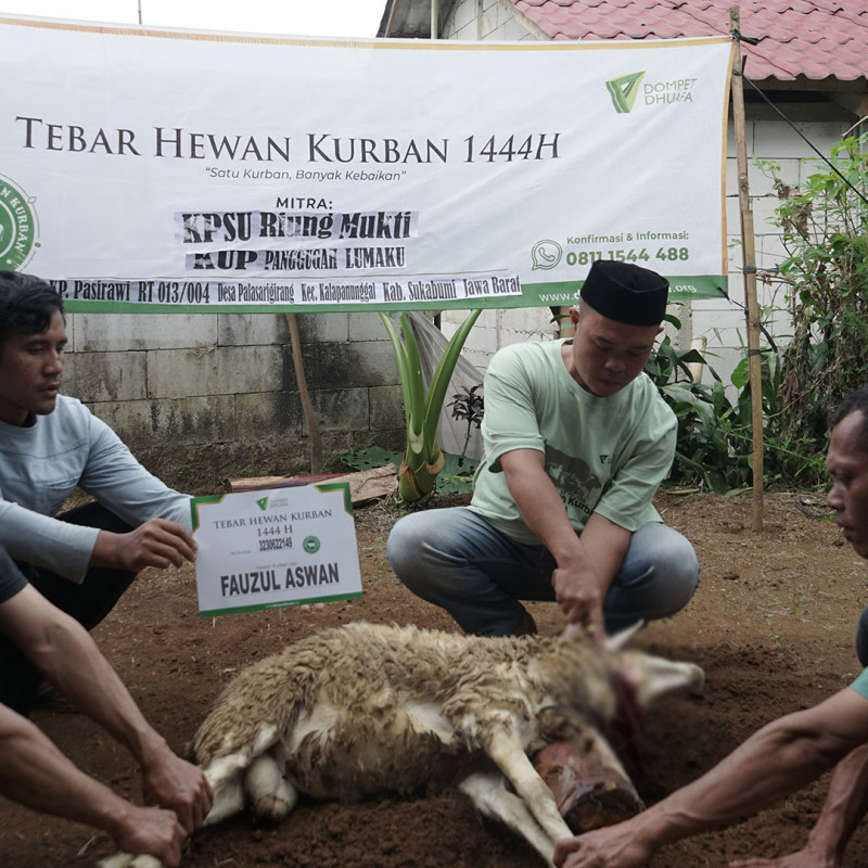 Qurban / Kurban Domba Kambing Sapi - Dompet Dhuafa