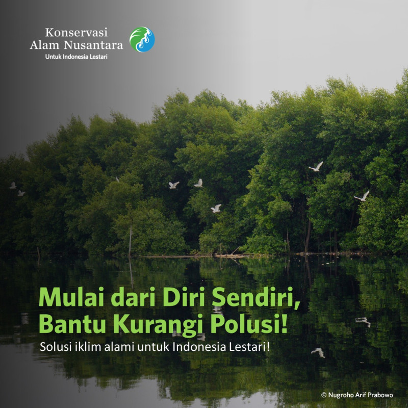 Solusi Alami Atasi Polusi