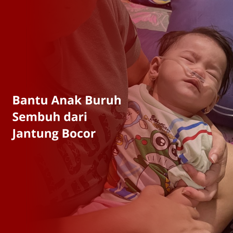 Alami JantungBocor, Rycca Butuh Bantuanmu