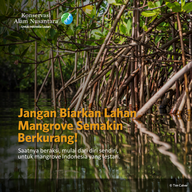 Mangrove untuk Masa Depan Kita