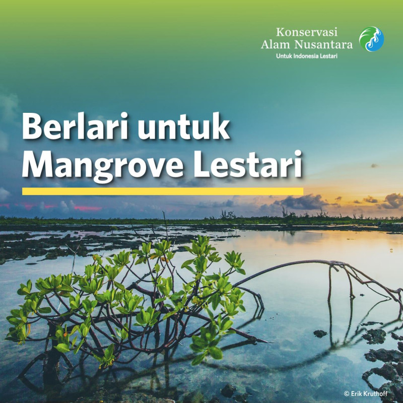 Berlari Untuk Mangrove Lestari