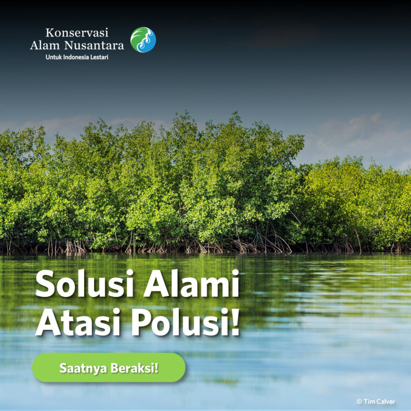 Solusi Alami Atasi Polusi
