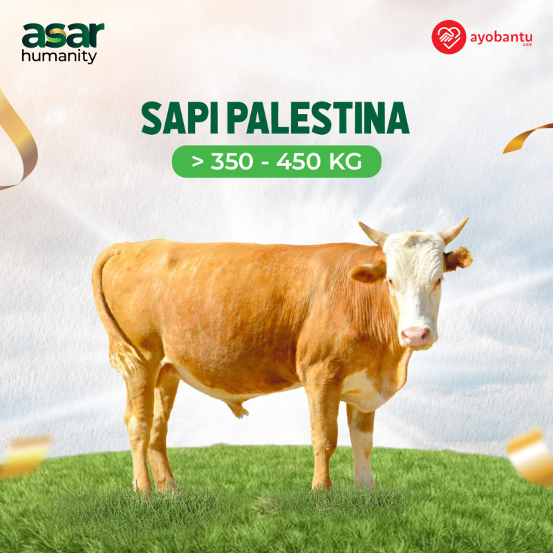 Qurban Extra Berkah, Tebar Hewan Qurban Hingga Ke Palestina.