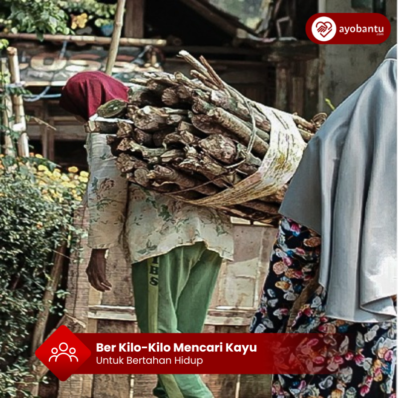 Ber Kilo Kilo Mencari Kayu untuk Bertahan Hidup