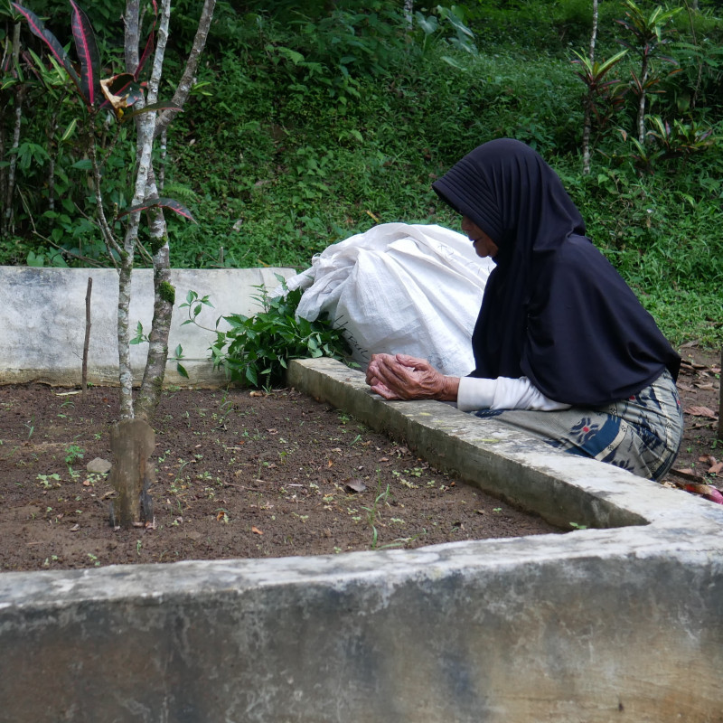 BANTU! LANSIA PENYAYANG KUCING YANG HIDUP SEBATANG KARA