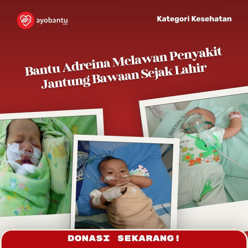 Bantu adreeina terus bisa berobat hingga bisa menjemput jantung sehatnya