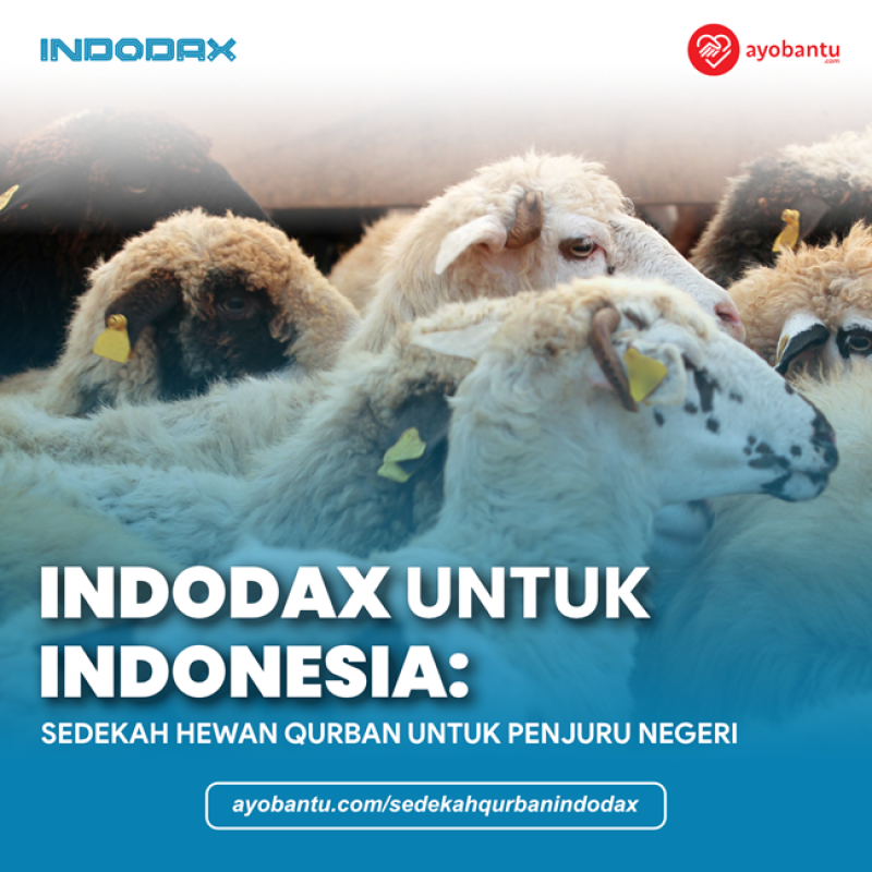 Indodax Untuk Indonesia: Sedekah Hewan Qurban untuk Penjuru Negeri