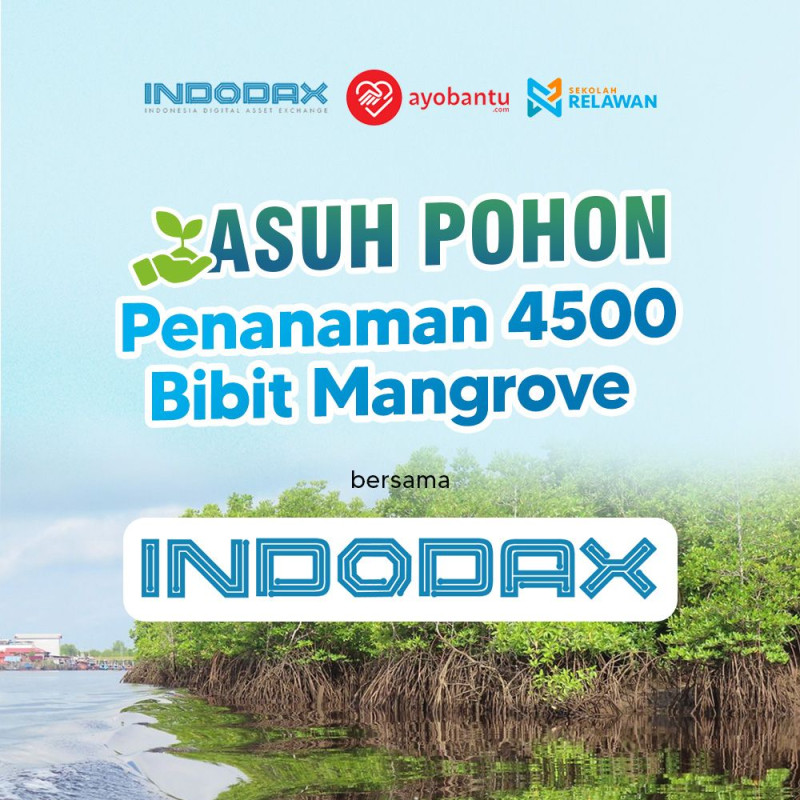 Penanaman 4500 Mangrove bersama Indodax