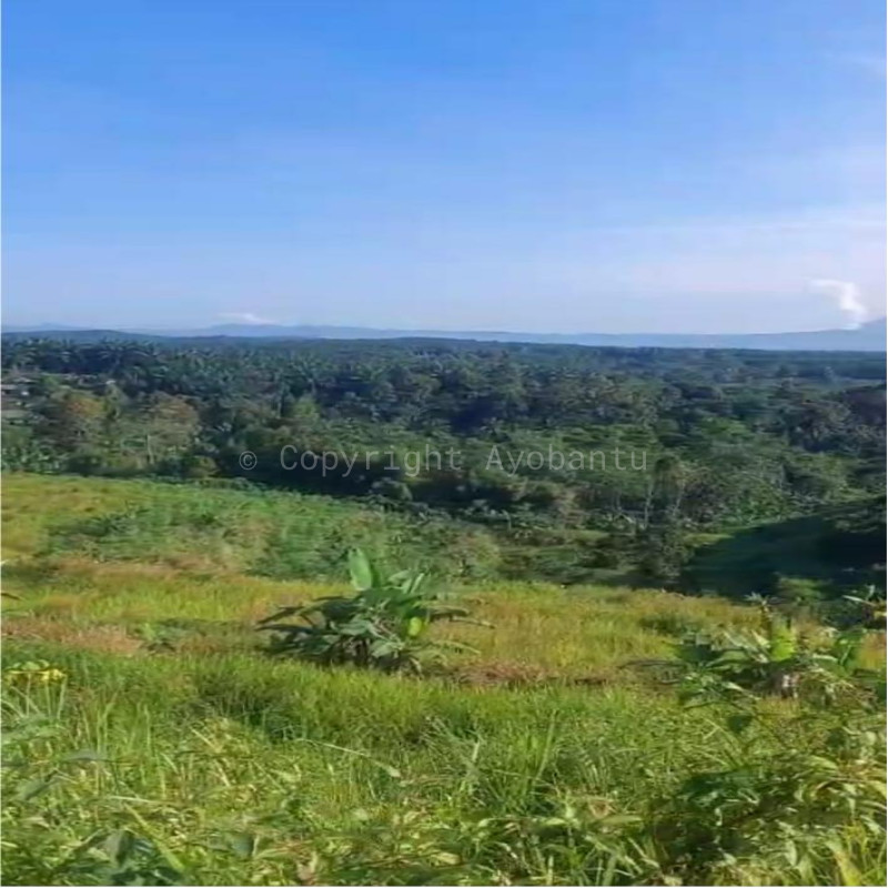 Bangun Masjid di Cikidang