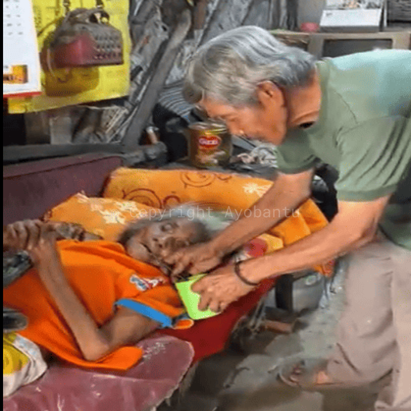 Kisah Abah Ujang Rawat Istri Sambil Mulung
