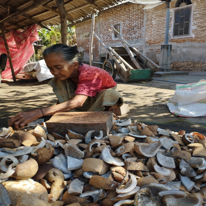 Nek Tio Menjadi Buruh Kopra Demi Bisa Bertahan Hidup