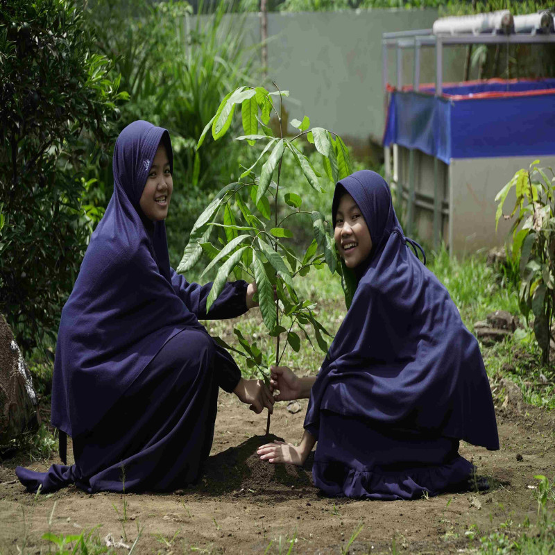 Sedekah Pohon Tanam Sekali Tuai Pahala Seterusnya