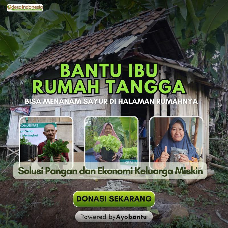 Bantu Ibu Rumah Tangga Bisa Menanam Sayur di Halaman Rumahnya
