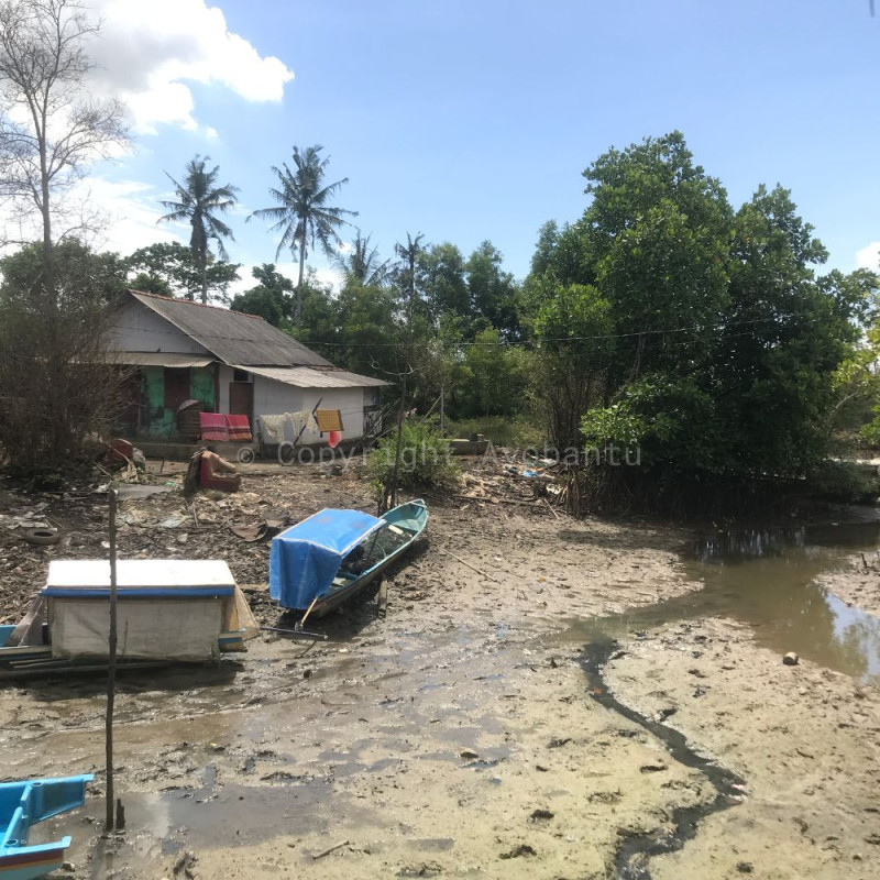 Pelestarian Ekoseistem Mangrove
